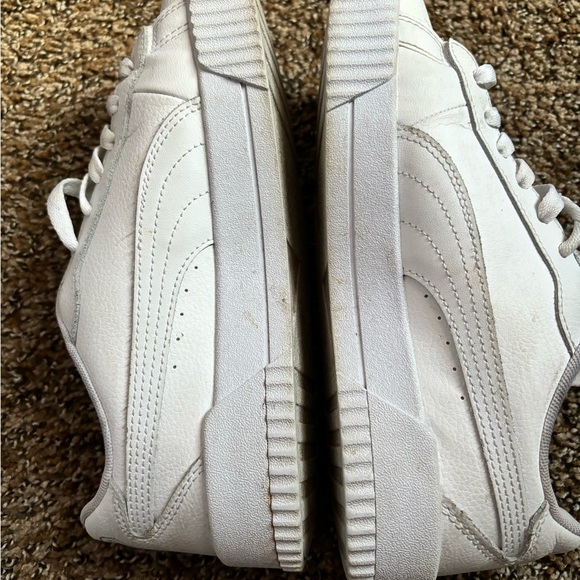 White puma - Picture 3 of 6